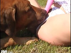 Some Of Those Dogs Are Huge And Can Be Very Aggressive