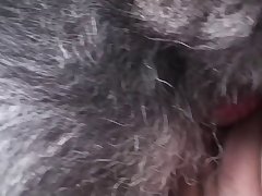 Dog Fuck Mature Women