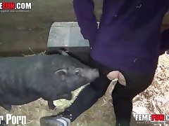 Zoophilie Porn