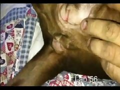 Prego Zoo Porn