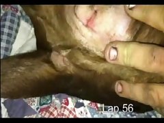 Prego Zoo Porn