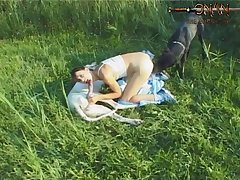 Animal Sex Srories