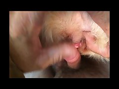 Have Sex With Dog Porn