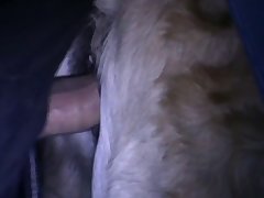 Camila Request Dog Porn