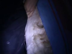 Camila Request Dog Porn