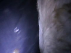 Camila Request Dog Porn