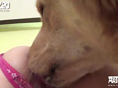 Latina Girl Dog Porn