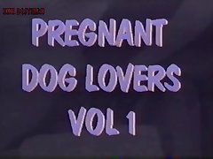 Animal Sex Hentai Comic