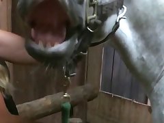Reverse Dog Xxx