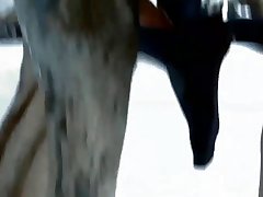 Zoophilie 2024
