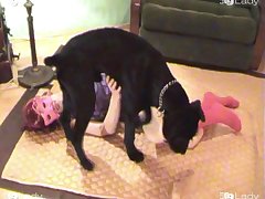 Dog Xxx Solo