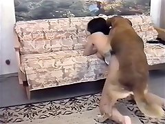 He Fuck Dog
