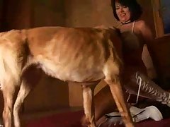 Fuck My Ex And The Next I Do Them All Bad Dog Ass