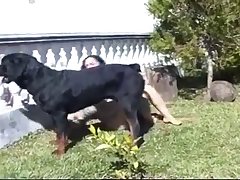 Fuck With Dog Videos