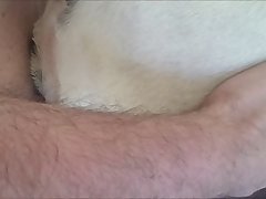 Changed Squid Dog Porn