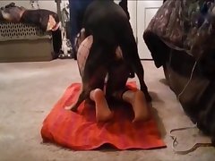 Guy Fucks Tiny Dog Porn