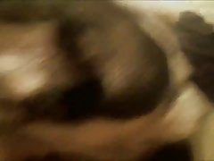 Real Animal Sex Videos