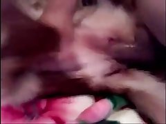 Suck Dog Porn