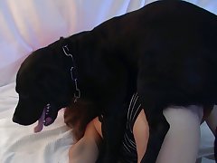 Boy Fuck Dog Anal