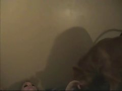 Dog Fuck Chair