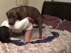 Horse Belly Riding Porn