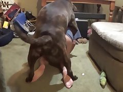 Sex With An Animal