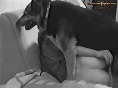 Lost Dog Porn
