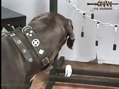Fat Dog Pussy Porn