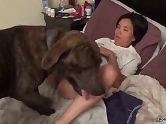 Horse Porn Telegram