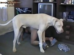 Zoo Xnxx