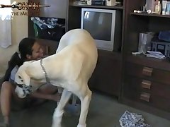 Zoo Xnxx