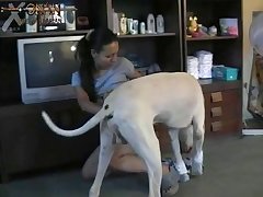 Zoo Xnxx