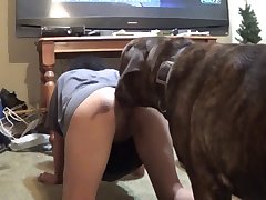 Dog Fucks Guy Porn