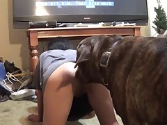 Dog Fucks Guy Porn