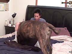 Sex Doll Animal