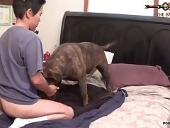 Sex Doll Animal