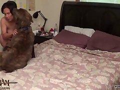 Sexy Dog Porn