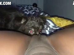 Art Of Zoo Porn