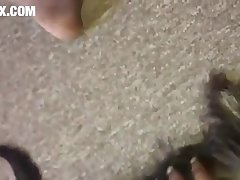 Dog Knot Porn