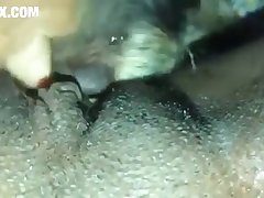 Lara Croft Horse Porn