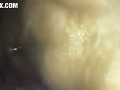 Lara Croft Horse Porn