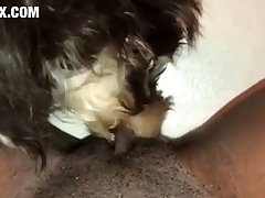 Sex With Animal