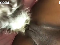 Xxx Zoofilia