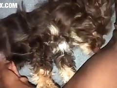 Videos De Zoofilia