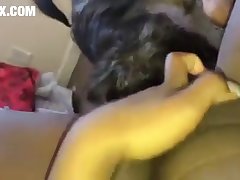 Zoofilia Porno