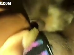 Horse Dildo Porn