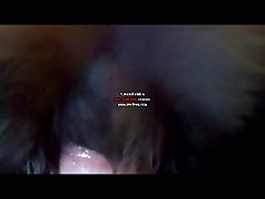 Sofia Lee Dog Porn