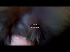 Sofia Lee Dog Porn