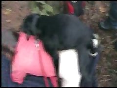 Horse Fucks Teen Porn