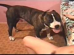 Miss F Dog Porn